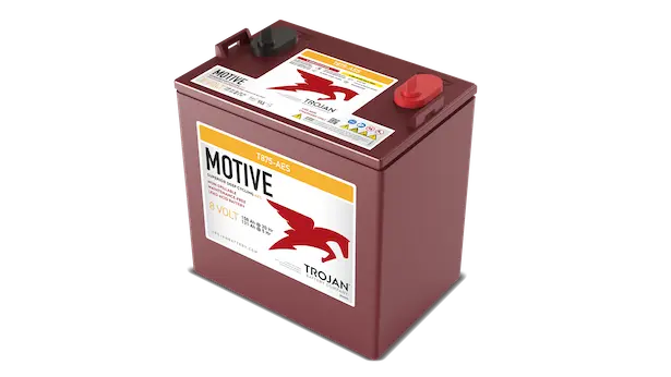 TROJAN BATTERIE T-875 8V 157 Ah - Staplertechnik24