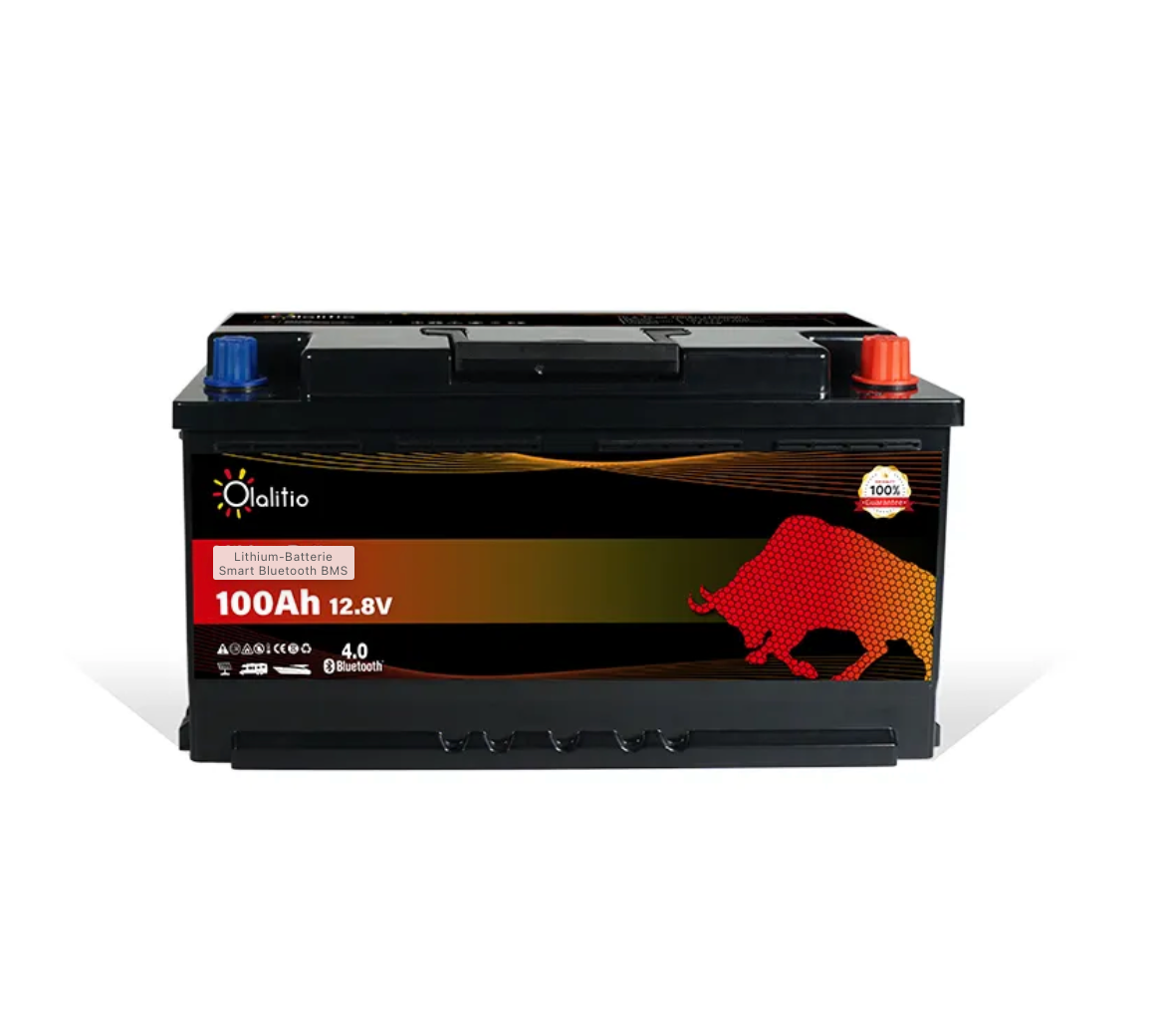 Lithium-Batterie 100Ah 12.8V LiFePO4 unter dem Sitz-Bluetooth-BMS-Olaliti - Staplertechnik24