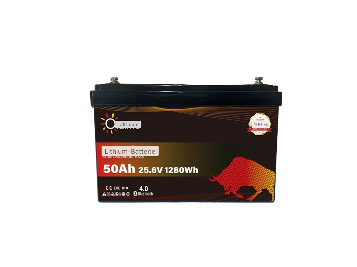 OLALITIO LiFePO4 Lithium-Batterie 25.6V 50Ah Smart BMS mit Bluetooth - Staplertechnik24