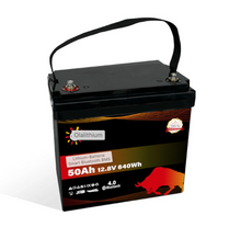 OLALITIO LiFePO4 Lithium-Batterie 12,8V 50Ah mit Smart BMS & Bluetooth - Staplertechnik24