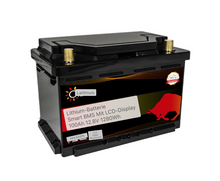 Lithium-Batterie 100Ah 12.8V LiFePO4 unter dem Sitz-LN3-Bluetooth-BMS-Olalitio - Staplertechnik24
