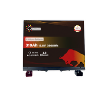 Lithium-Batterie 12.8V 310Ah LiFePO4 unter dem Sitz-Bluetooth-BMS-Heizung-Olalithium