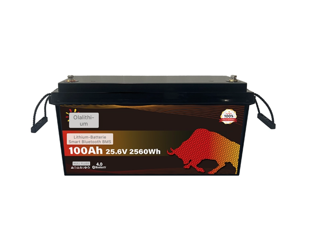 Lithium-Batterie 100Ah 25.6V LiFePO4 PRO-Bluetooth-BMS-Olalitium - Staplertechnik24