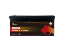 Lithium-Akku OLALITIO LiFePO4 38.4V 100Ah Smart BMS mit Bluetooth - Staplertechnik24