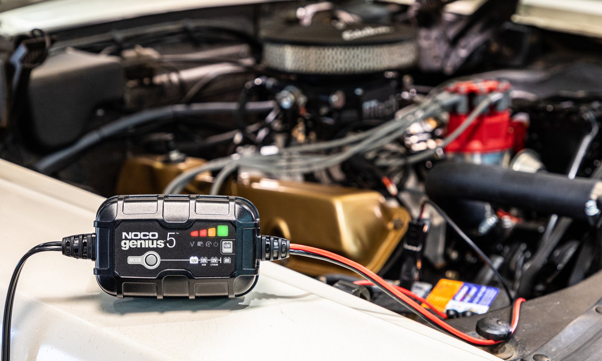 NOCO Batterieladegerät GENIUS 5-Ampere 12 Volt - Staplertechnik24