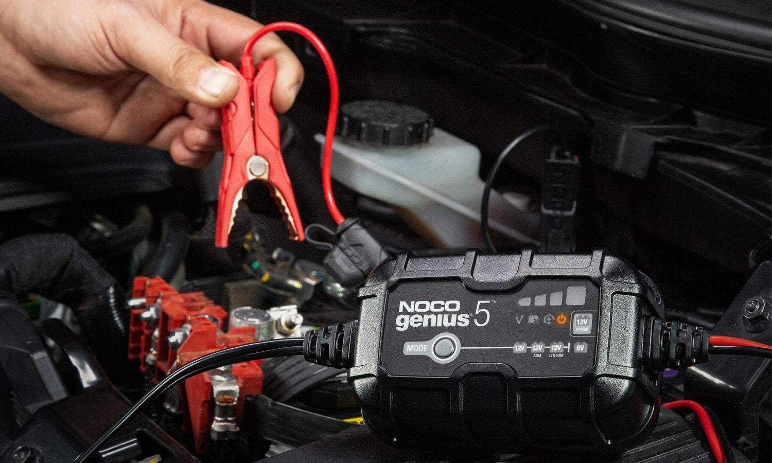 NOCO Batterieladegerät GENIUS 5-Ampere 12 Volt - Staplertechnik24